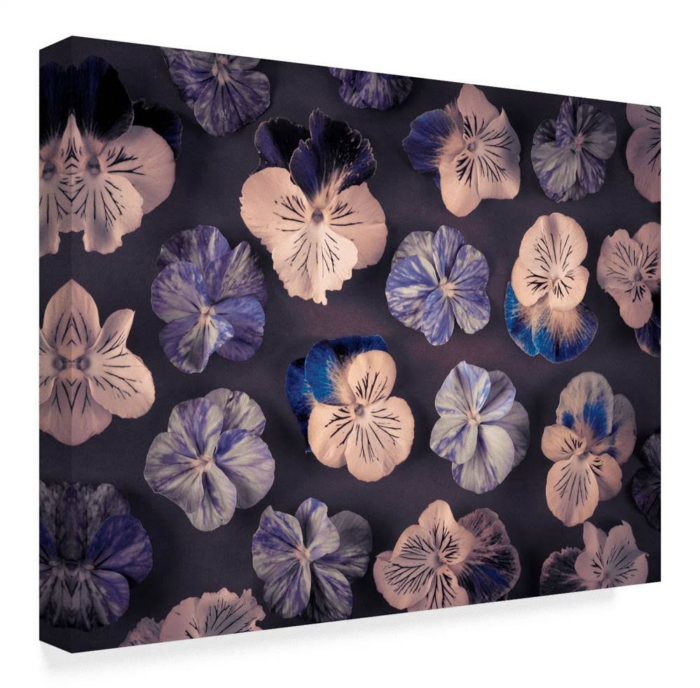 Pink and Blue Pansies Q1456