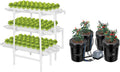 5-Gallon Deep Water Culture Hydroponics Grow System S91811