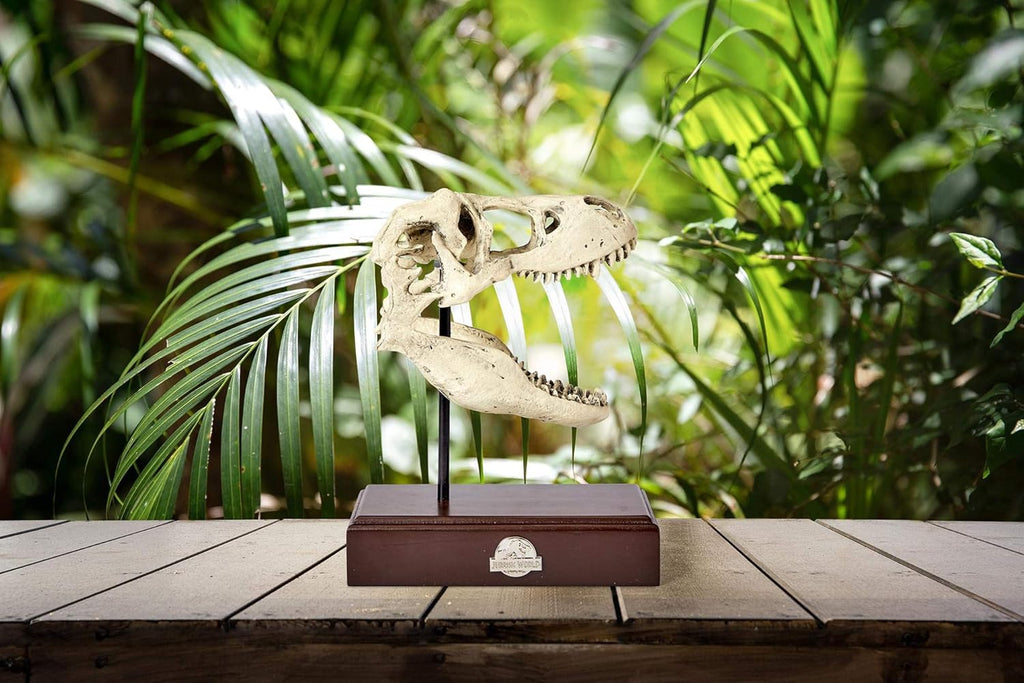 Tyrannosaurus Rex Skull Resin Replica Statue W8028