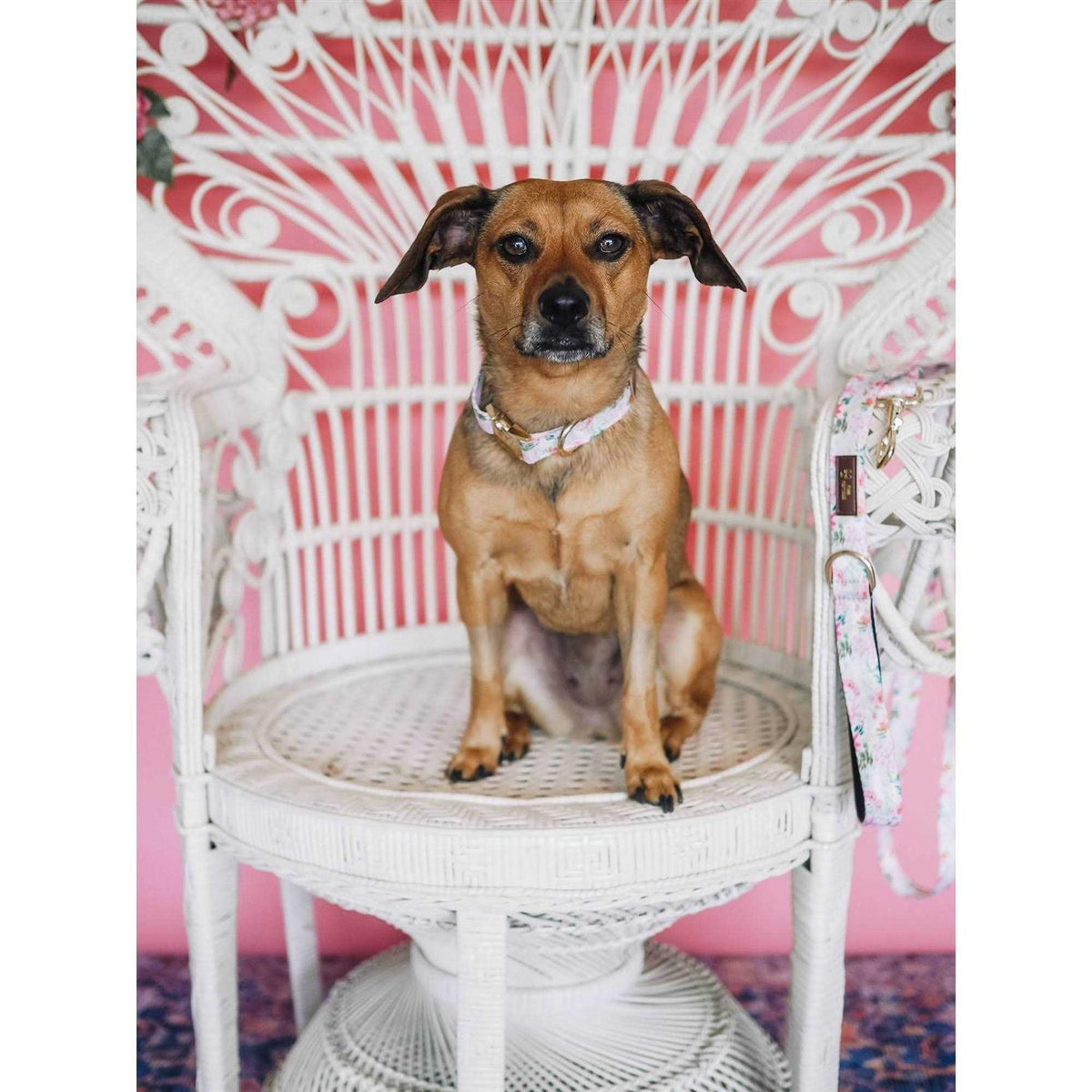 Pink Papyrus Collar R501
