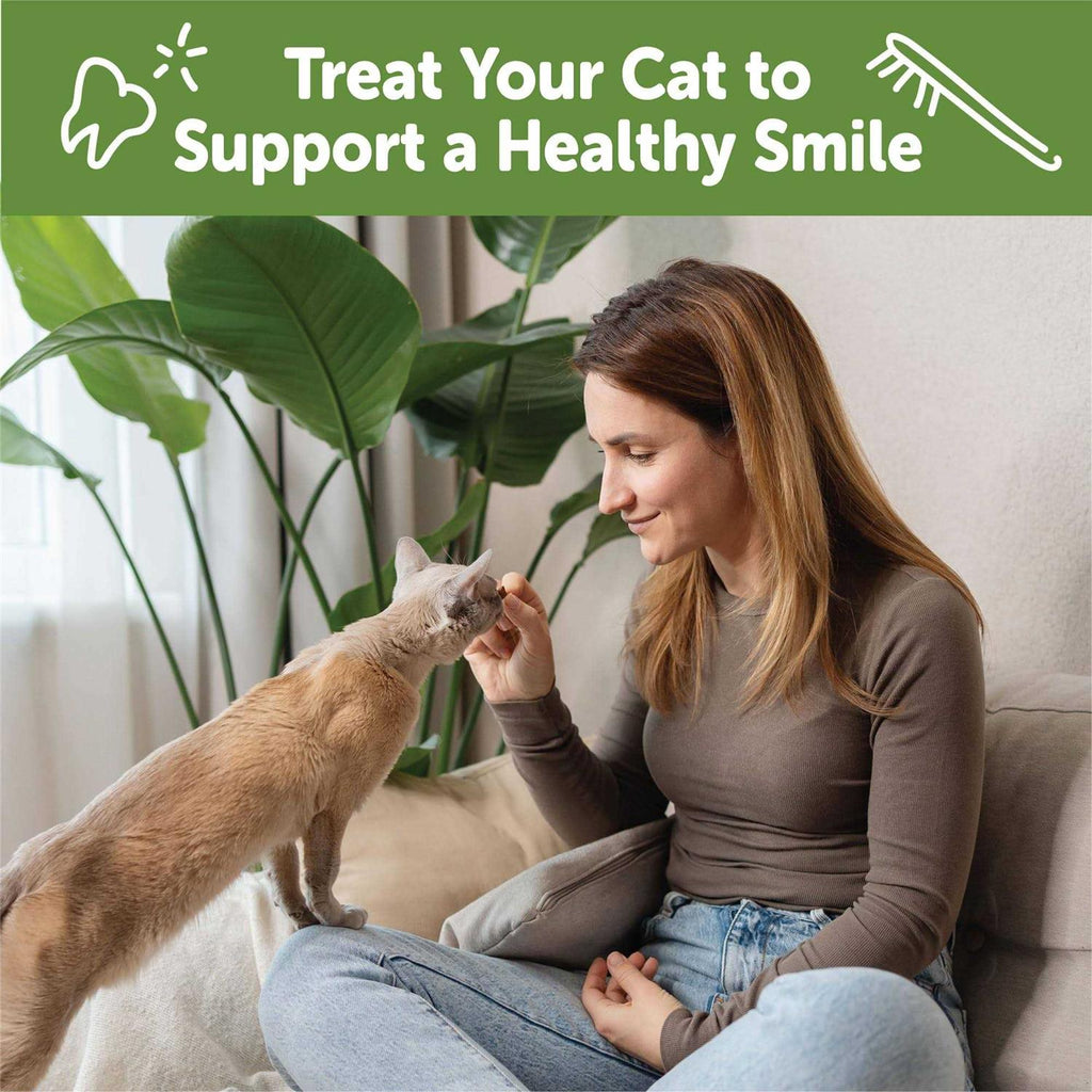 Natural Dental Chicken Cat Treats N684