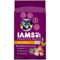 Dry Dog Food B8668