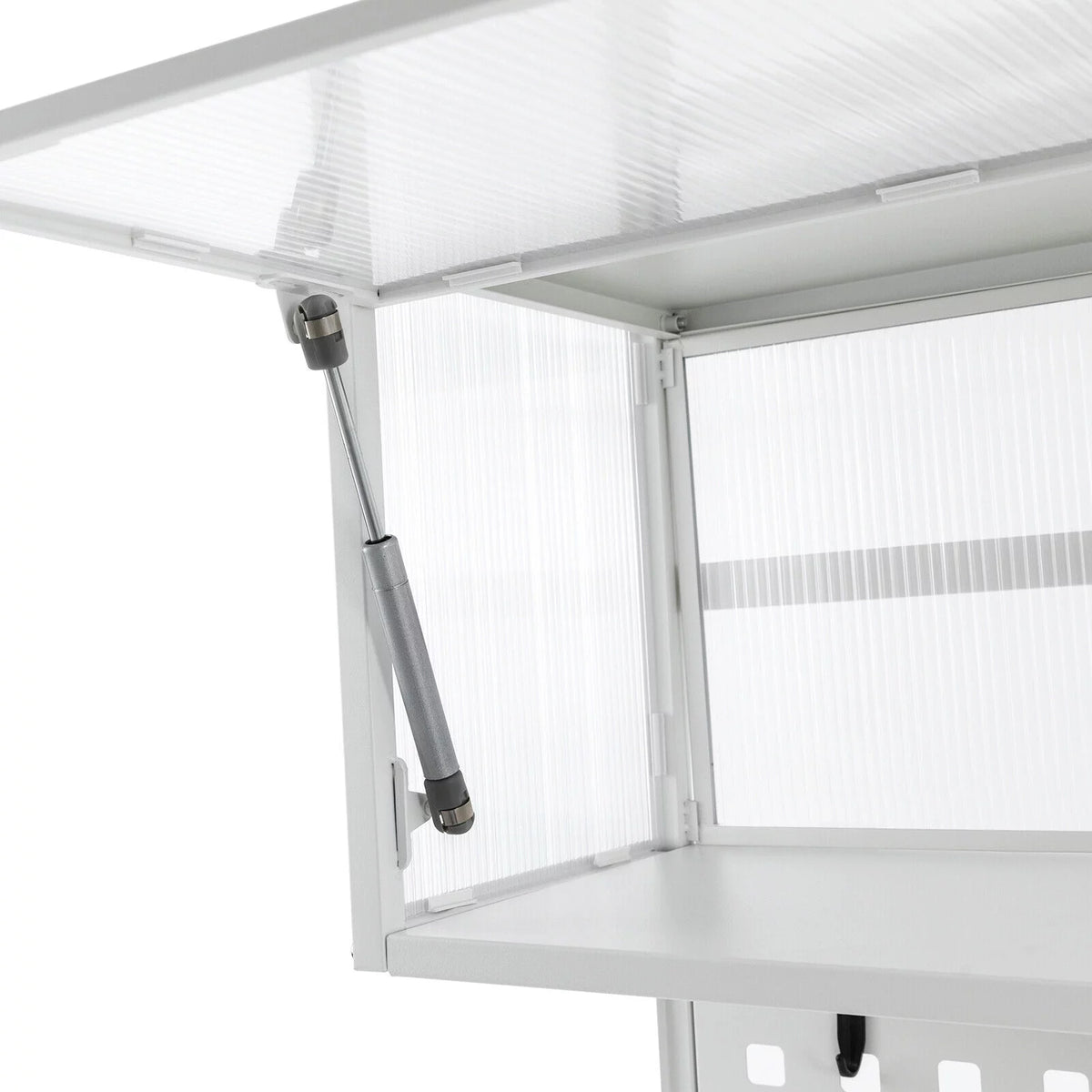 Wall-Mounted Cabinet with Storage Shelf White Translucent S21062