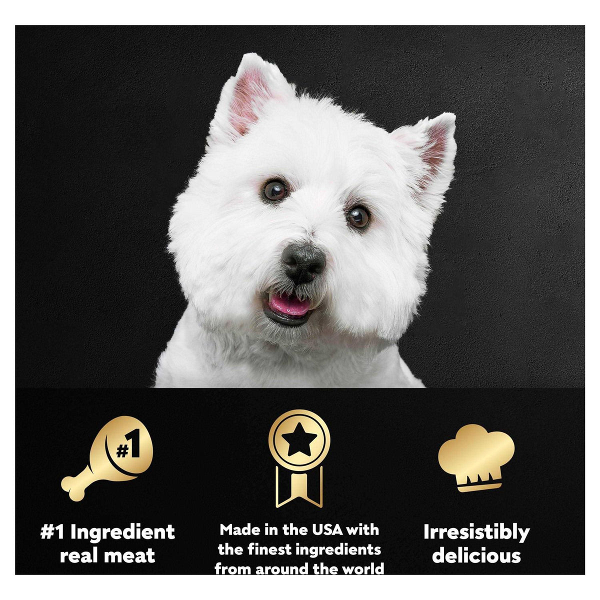 Grilled Dog Food O26128