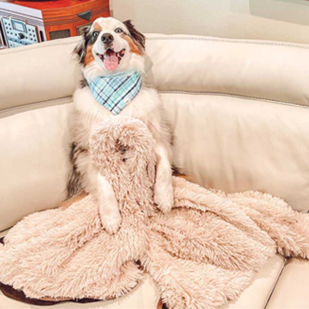 Throw Blanket J5412