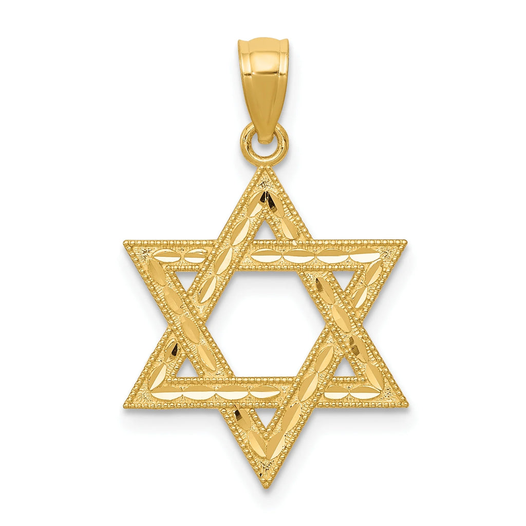 14K Yellow Gold Diamond-Cut Star Of David Pendant Charm with 10K Yellow Gold Rope Chain Necklace 16'' G9340