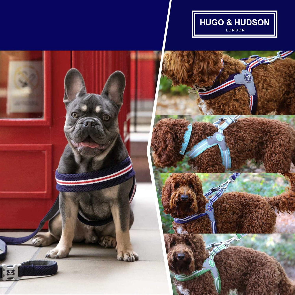 Dog Harness B91935