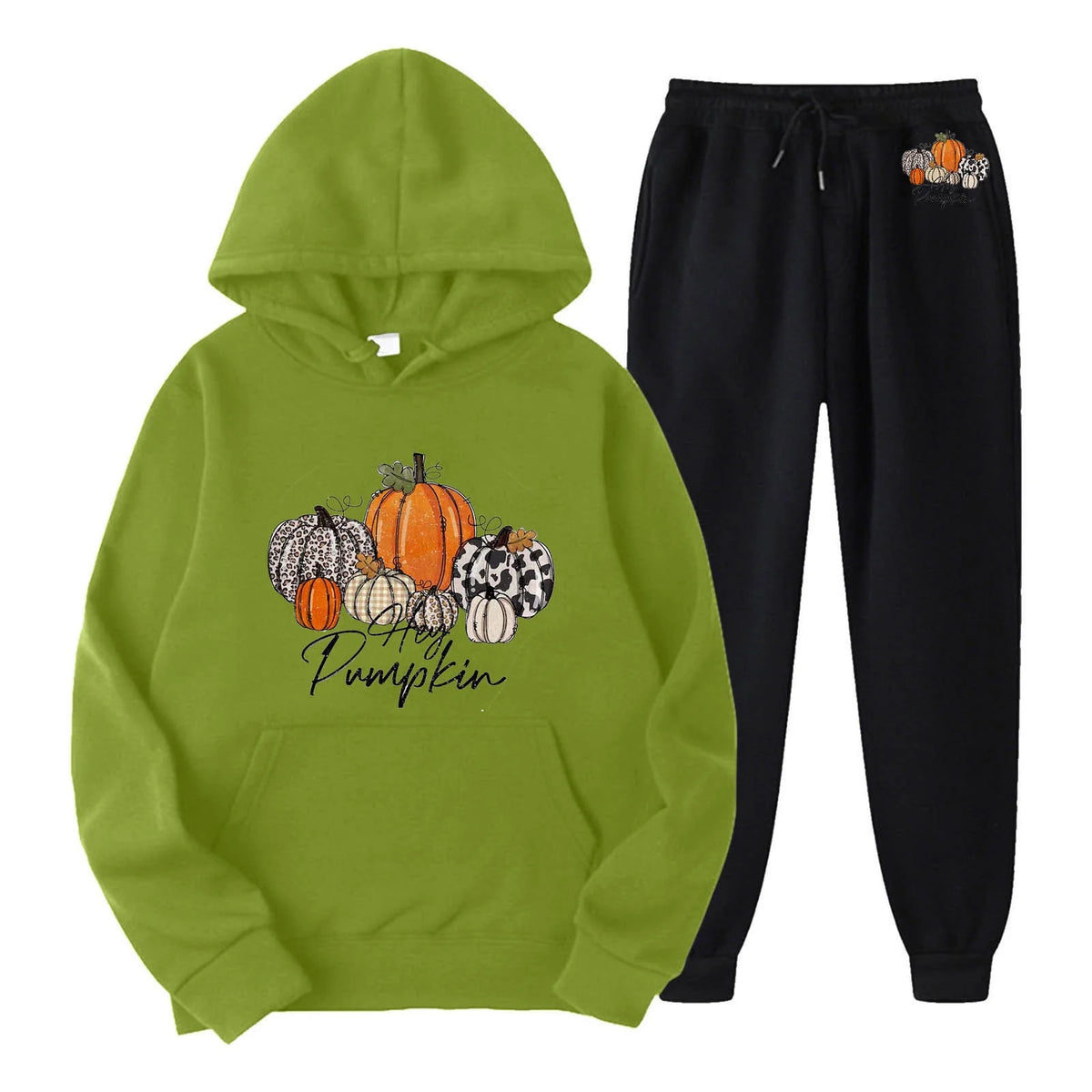 Womens Two Piece Hoodie and Sweatpants Set O181