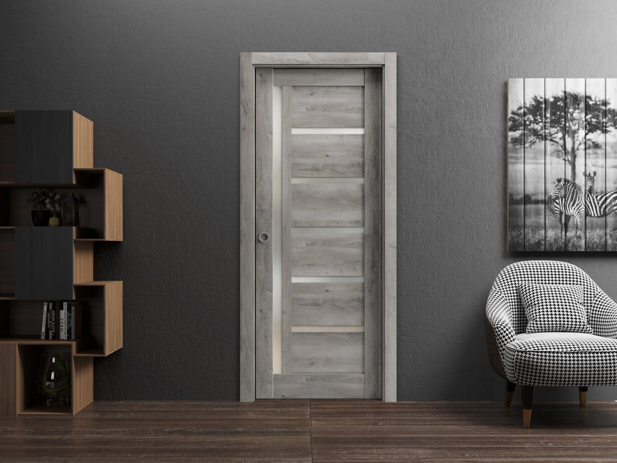 Sliding French Pocket Door with Frosted Glass B352