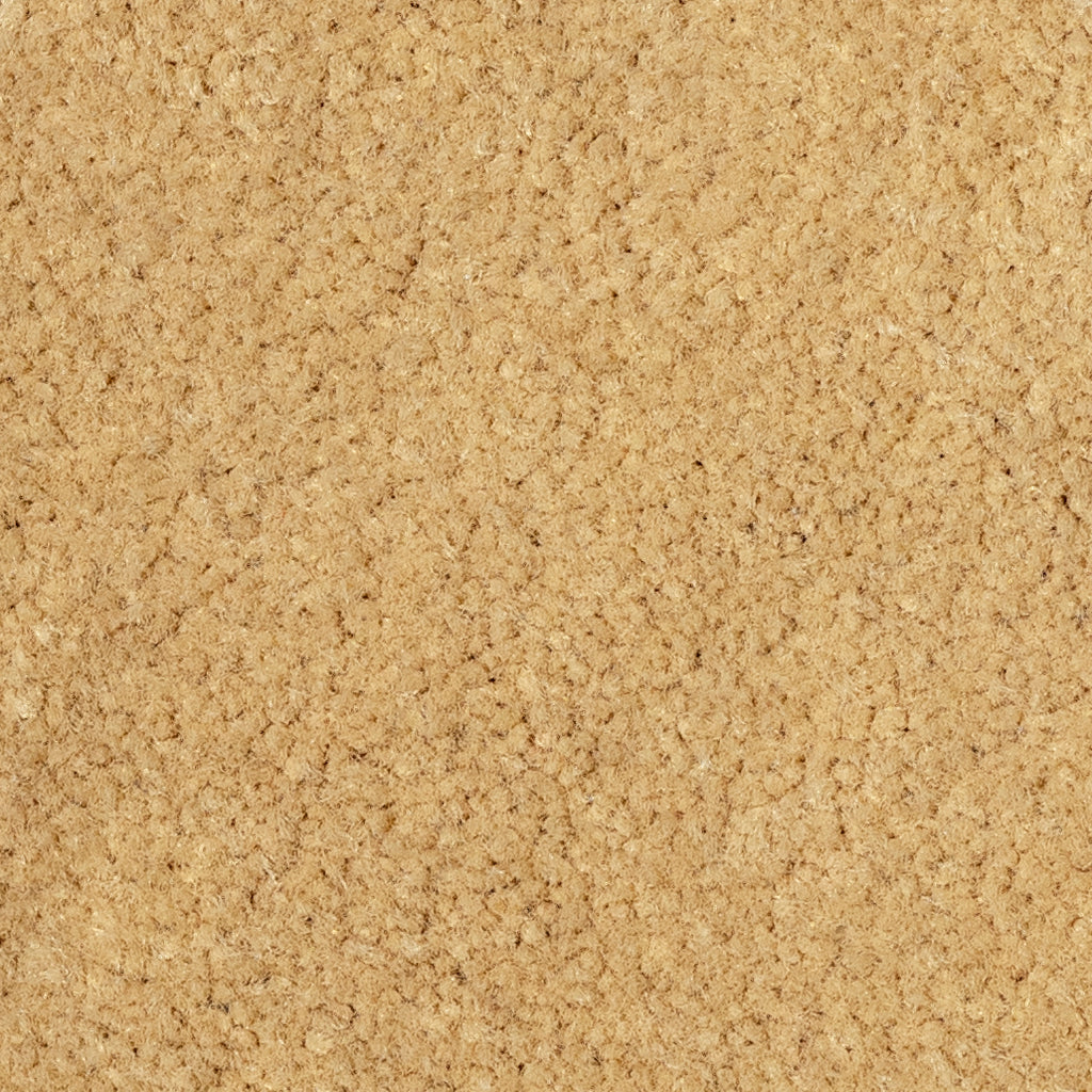 Beige Carpet Car Mats P8811