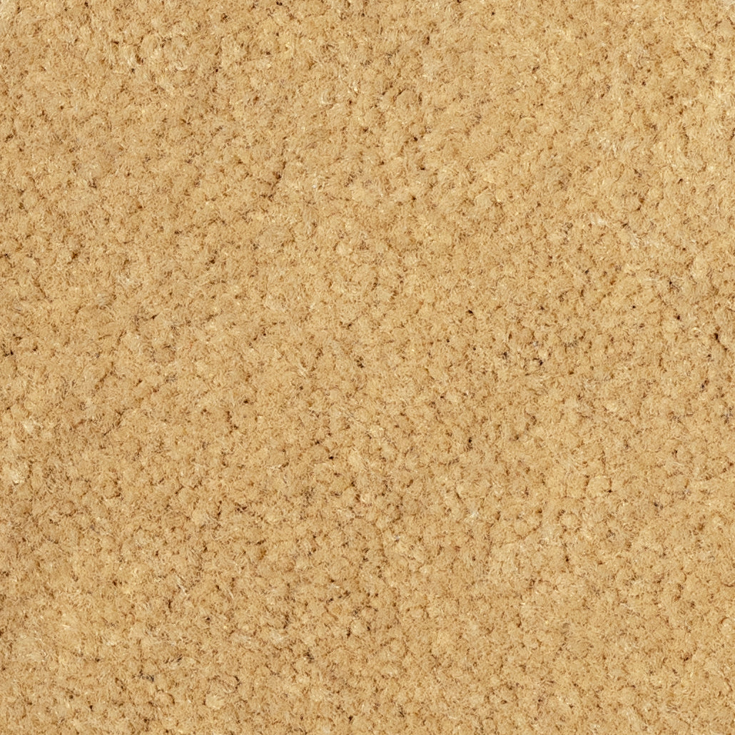 Beige Carpet Car Mats P8811