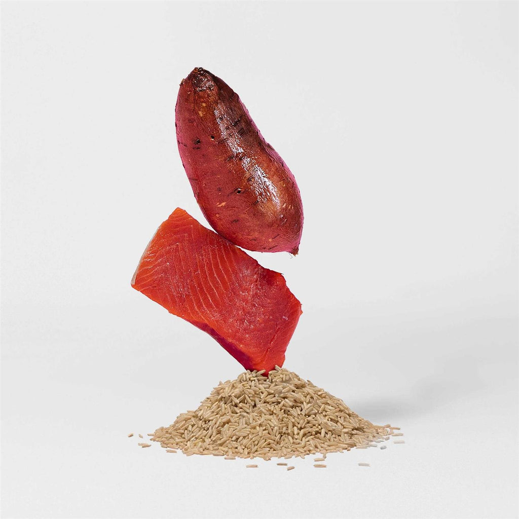 Salmon Brown Rice & Sweet Potato Dry Dog Food E654