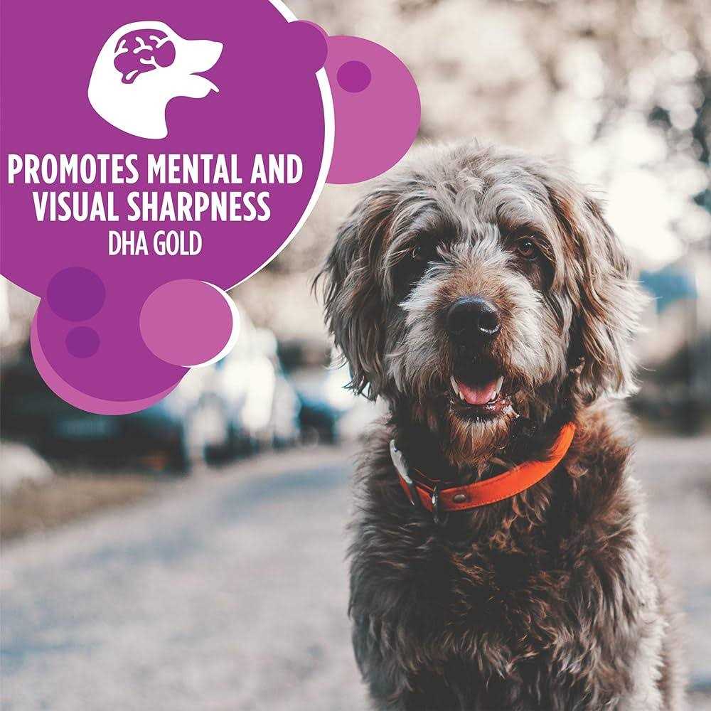 Dry Dog Food B8668