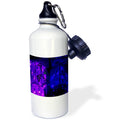 Purple and Blue Christmas Light Boxes 21 oz Sports Water Bottle V215525