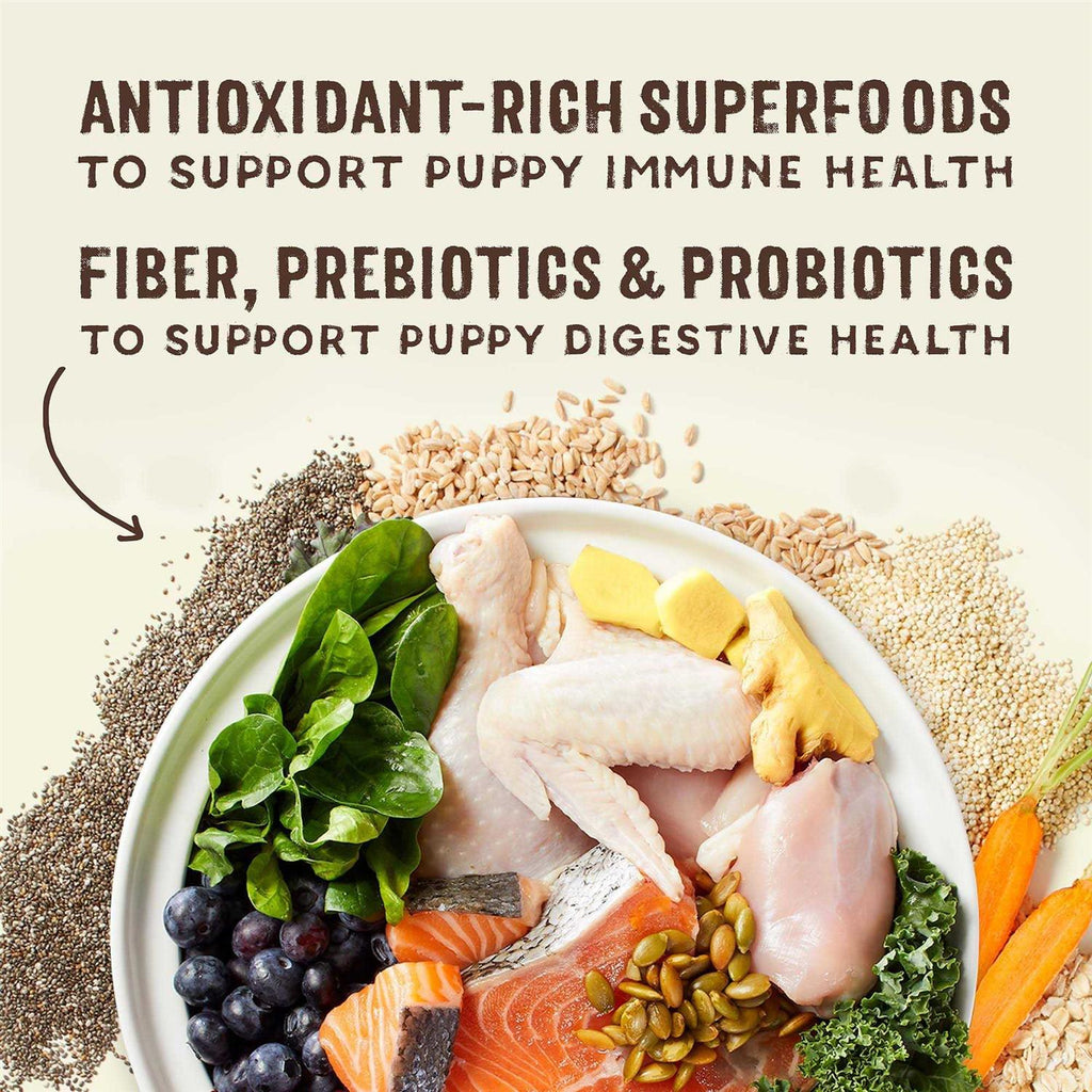 Chicken & Salmon Recipe with Superfoods I769