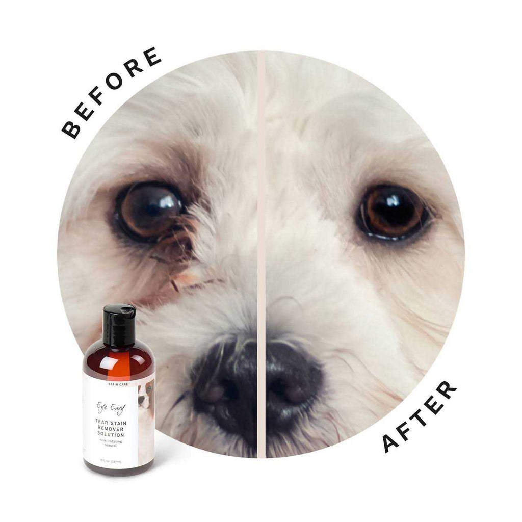 Tear Stain Remover Solution for Dogs G52795