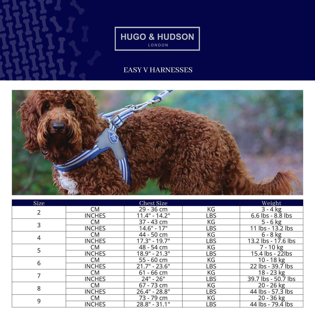 Dog Harness B91935