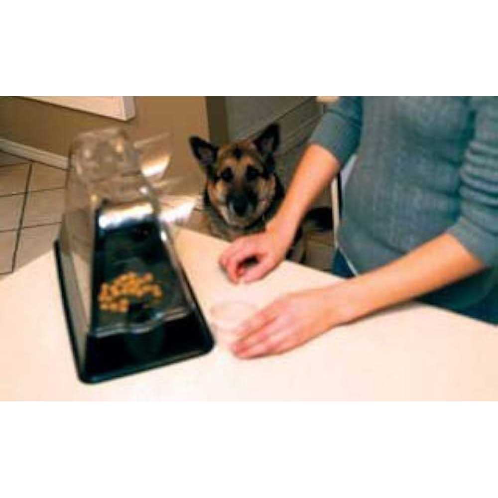 Veterinarian Designed Cat Feeding Bowl P2838