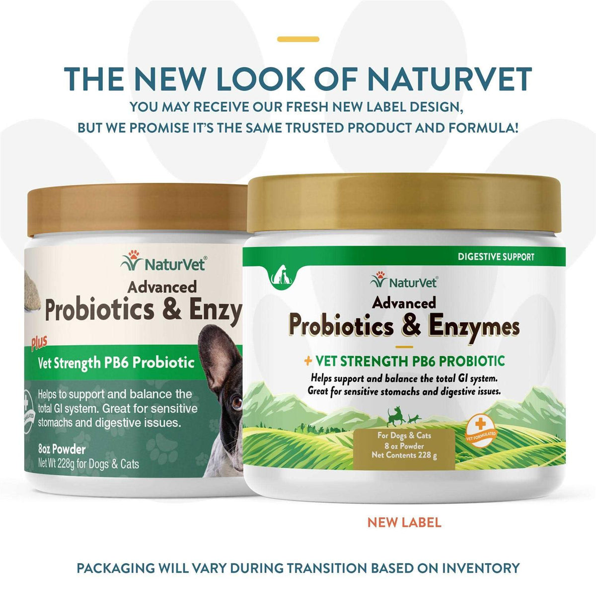 Probiotics Enzymes T272886