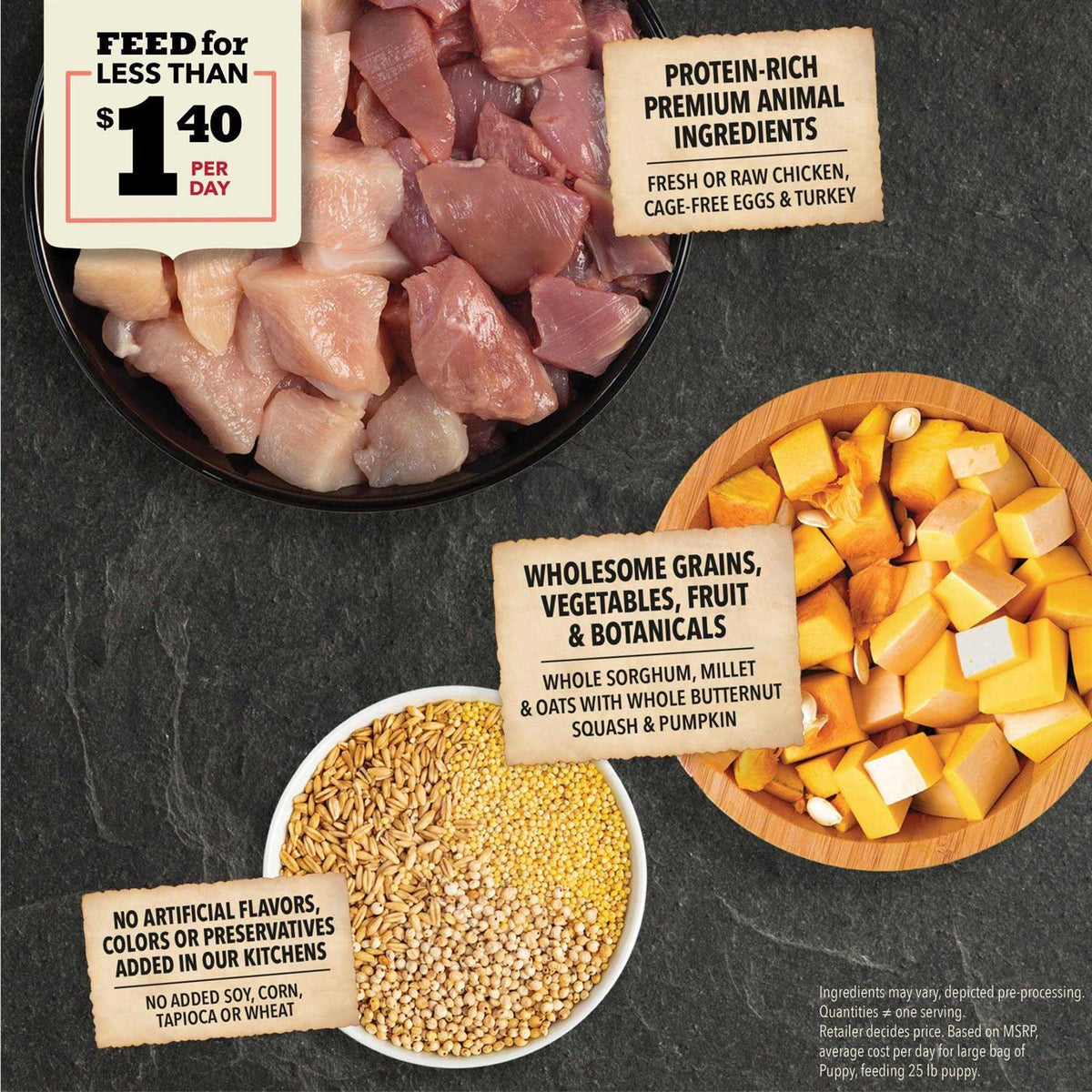 Dry Dog Food A97643