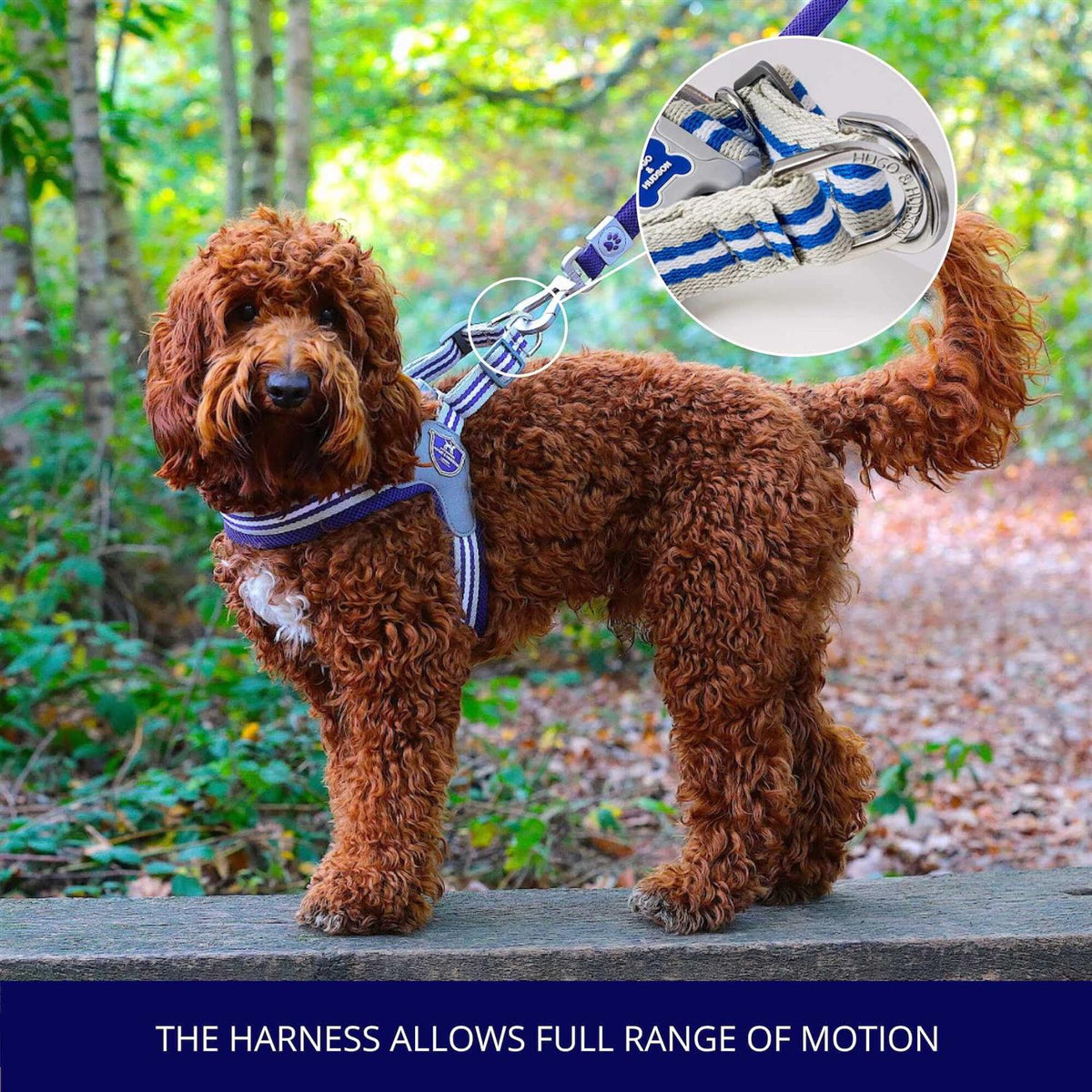 Dog Harness B91935
