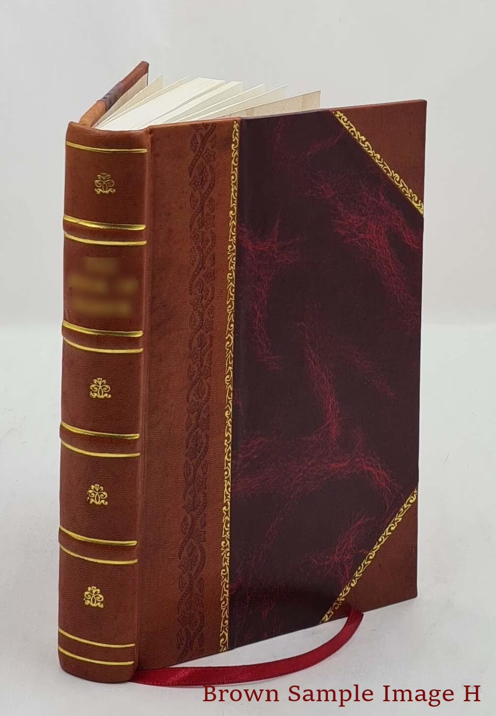 Leather Bound Book I858